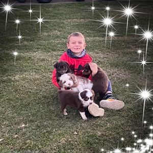 Meet your Posher, Michelle